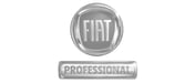 Logo_Fiat_Professional